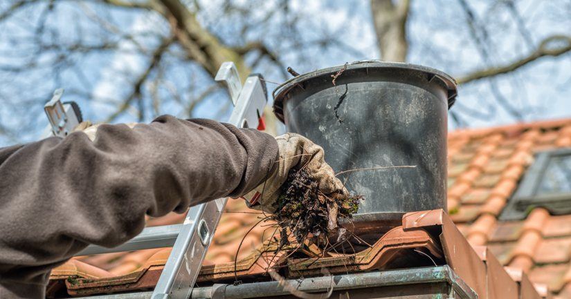 Cleaning Gutters