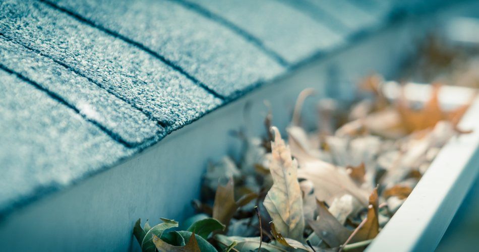 14 Fall Home Maintenance Tips to Prepare Your Home