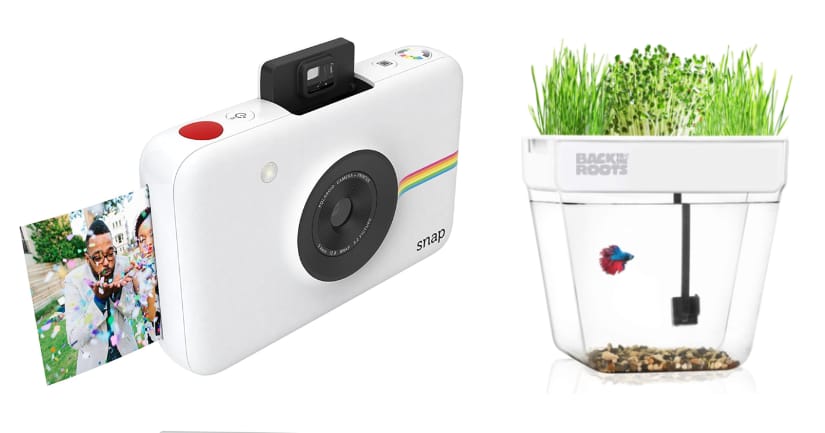 8 Valentine’s Day Gift Ideas for 2022 - Polaroid Snap Image