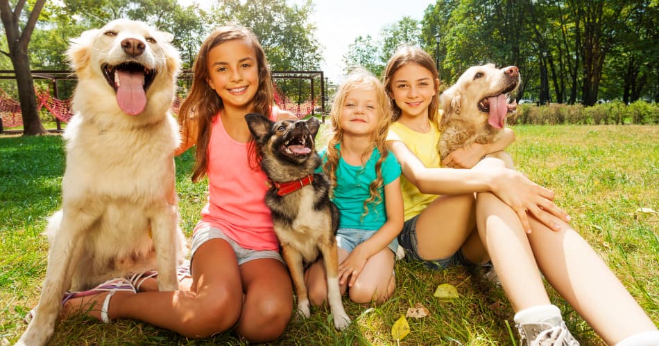 How to Choose the Best Pet for Your Family