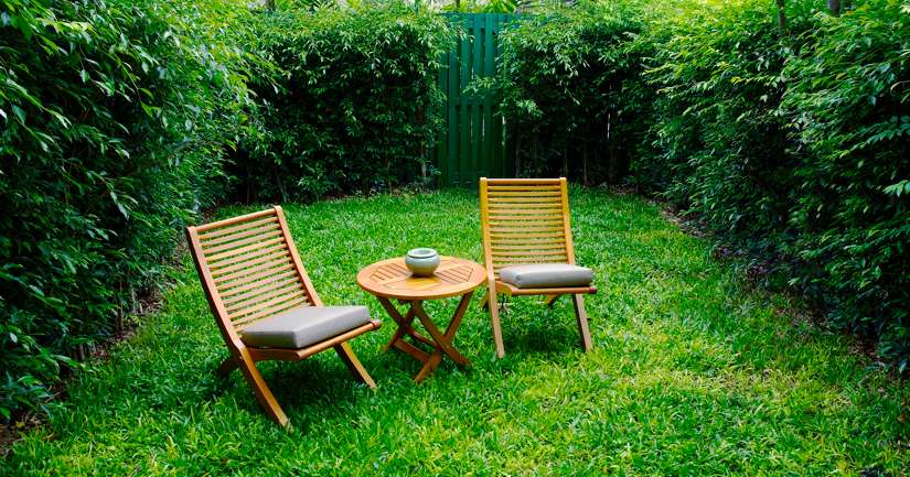 11 Ideas for a Beautiful Backyard - Socializing Image