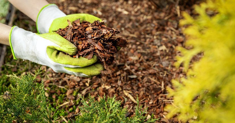 Garden Mulch